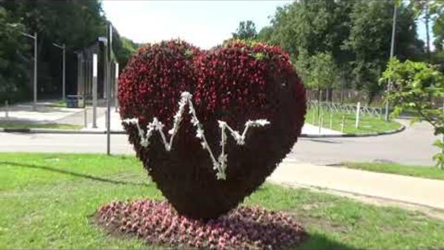 Городские цветы. Музыка Сергея Чекалина.