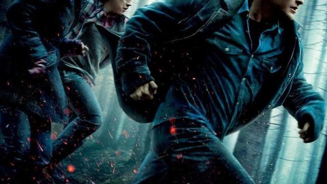 Harry Potter et les reliques de la mort : le coup de coeur de Tele7