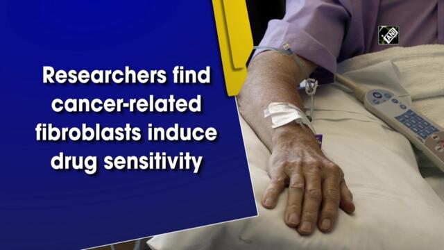 Researchers find cancer-related fibroblasts induce drug sensitivity
