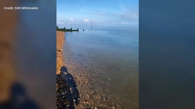 Leaked 'sewage' lapping the beach in Tankerton