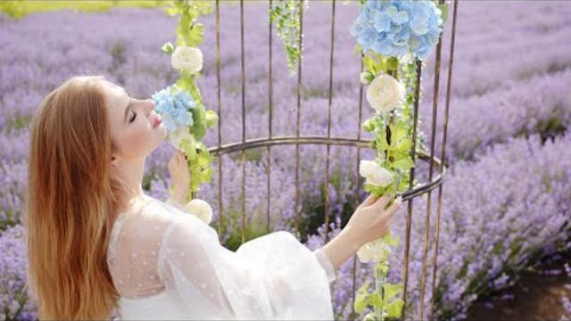 Чудесно и Красиво! Сборник ЛУЧШИХ Мелодий от которых мурашки по телу! Красивая музыка!