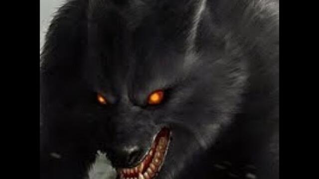 Стрим Drakensang Online ПОЛНОЛУНИЕ