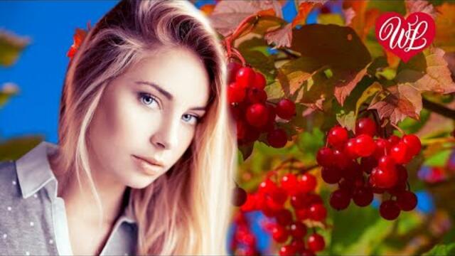 Марина Девятова   -   КАЛИНКА