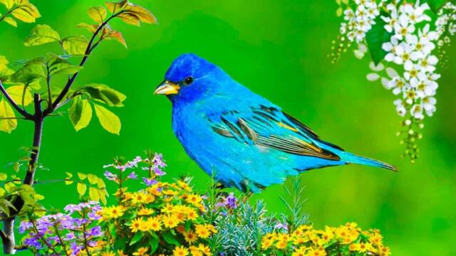 Самая красивая мелодия в мире! Эту музыку можно слушать вечно! Музыка Сергей Грищук