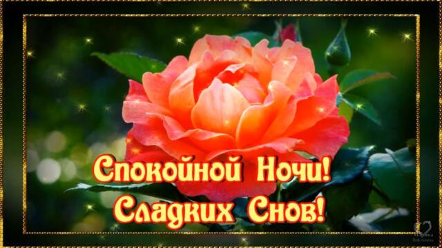 Спокойной Ночи!  Сладких Снов! Пусть тебе приснится то, что принесет радость и умиротворение.