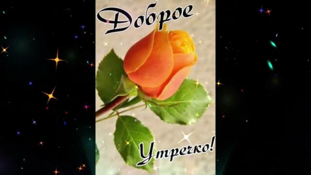 Доброе  утро!   Полина  Гулько   -   Форма  Любви