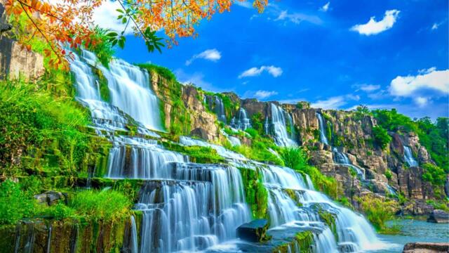 Самая красивая мелодия в мире! Эту музыку можно слушать вечно! Музыка Сергей Грищук