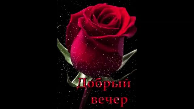 Добрый  вечер  Сирены   Целуй