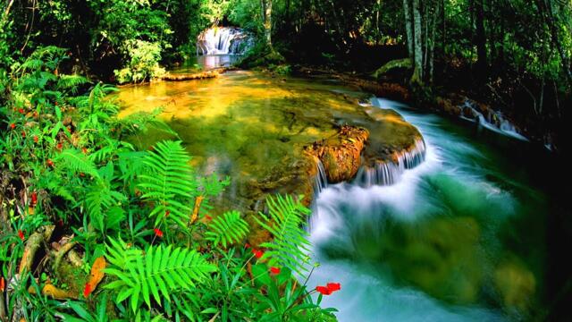 КРАСИВАЯ МУЗЫКА Дождливое настроение! Пусть музыка дождя успокоит твою душу! Сергей Грищук