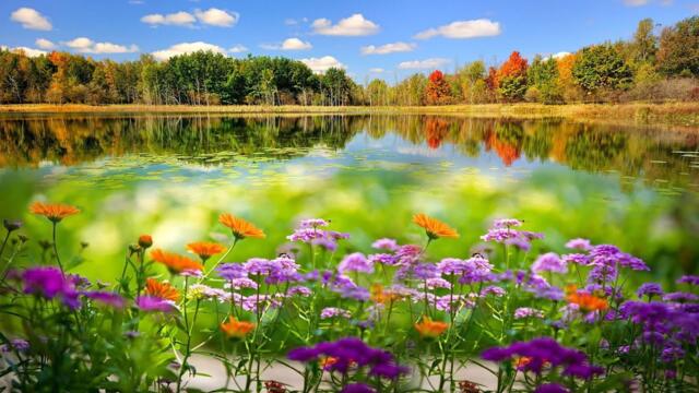 Божественная музыка, способная тронуть и смягчить Сердце, окутывая Душу нежностью!