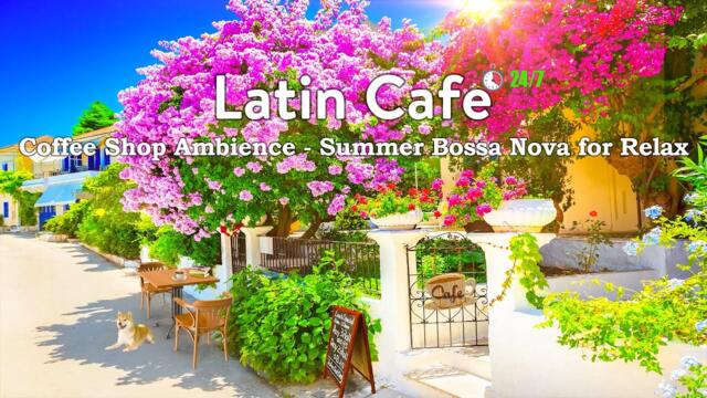 Summer Day at Coffee Shop Ambience - Latin Cafe - 24/7 Live Stream - Summer Bossa Nova for Relax