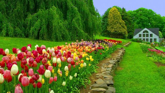 КРАСИВАЯ МУЗЫКА Августовское настроение! Для умиротворения тела и духа.