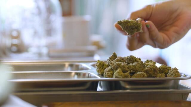 Inside Thailand's Complicated Legalization of Weed