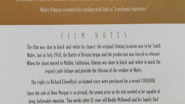 Rec 2021-08-03 15;28;33