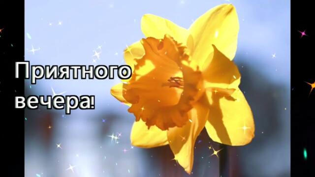 Добрый  вечер!    Agunda  -  Сны