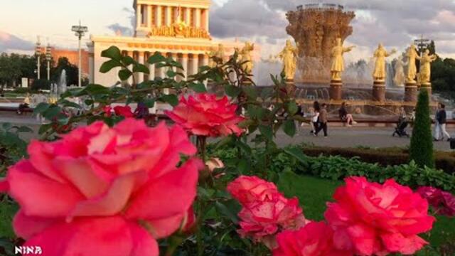 Послушайте Прекрасную Музыку, Наслаждаясь Шикарным цветением на ВДНХ!