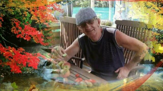 Анатолий Кулагин    -    ЭТА СЛАДКАЯ НОЧЬ