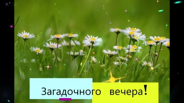 Добрый  вечер!    Bogacheva  - Красный