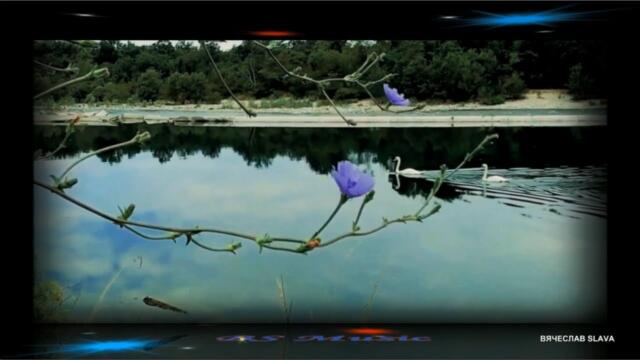 Наташа Державная - Лебеди