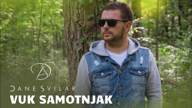 Dane Svilar & Studio Indians - Vuk samotnjak (COVER 2022)