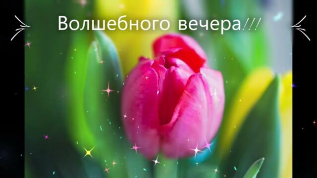 Добрый  вечер !   Анна  Плетнева   -   Интуиция
