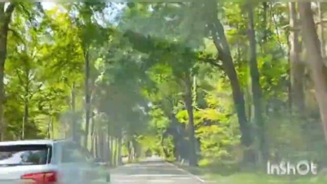 Красивая песня