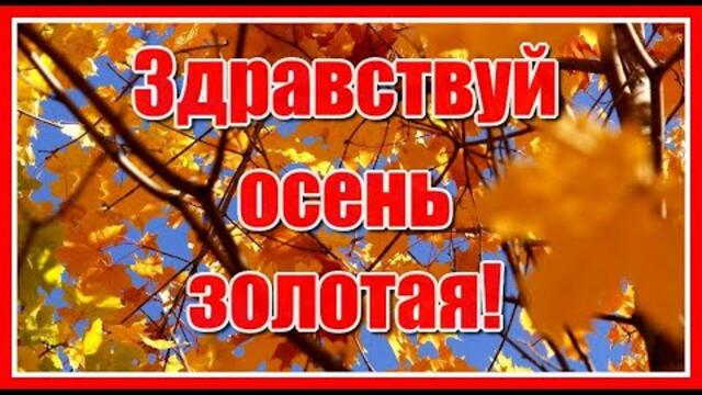 Тёплой шалью, мягкой позолотой, Листопад окутывает землю... Здравствуй Осень золотая...