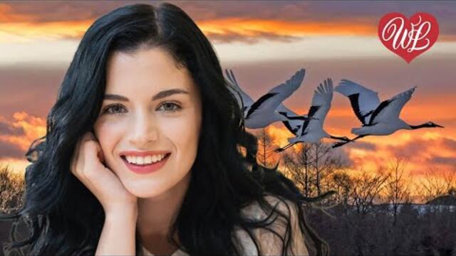 Алик Бендерский   -   ЛЕТИ МОЯ ЛЮБОВЬ