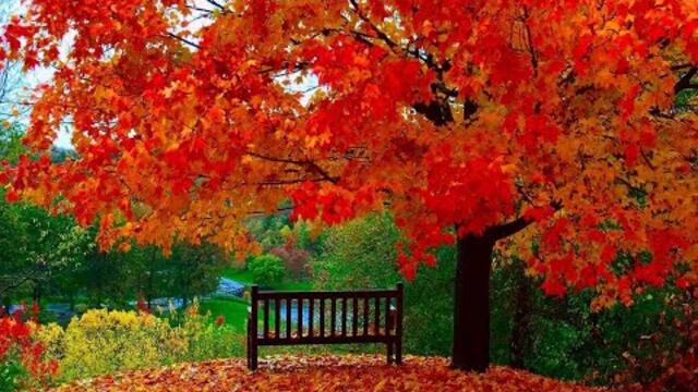 ПАВЕЛ СОКОЛОВ  -  СКОРО ОСЕНЬ, ГОСПОДА...