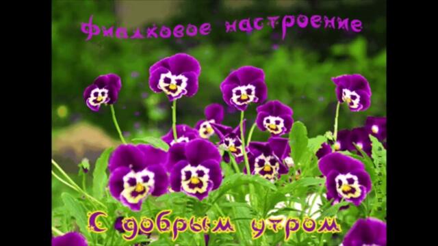 Доброе  утро!  Ханна  -  Солнце  Лишь  Круг