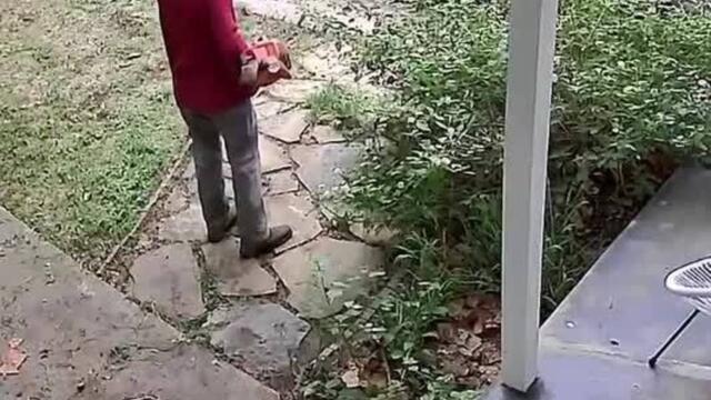 Guy Breaks Car Window While Trimming Grass