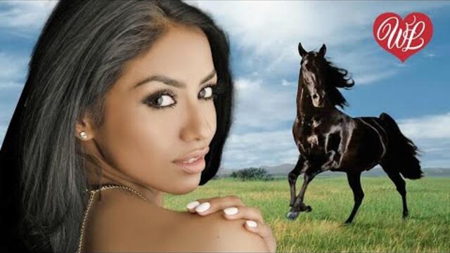 Надежда Бабкина, Ансамбль "Русская Песня"  -   А НА ПОСЛЕДНЮЮ ПЯТЕРКУ