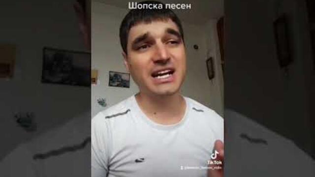 БОРИСЛАВ БОРИСОВ - ЛЕЛЕ, СВАШКЕ