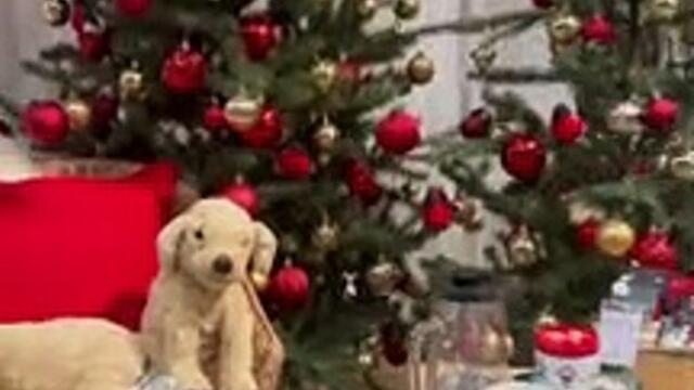 Ikea’s Christmas Shop has items for as low as P30