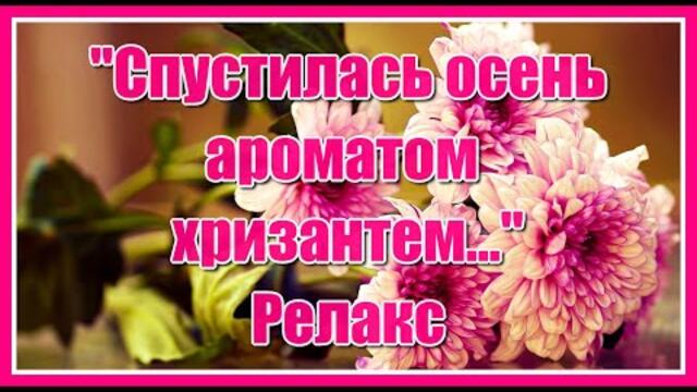 "Спустилась осень ароматом хризантем..."