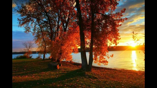 Владимир Тимофеев  -   ДРУГИМ УЖЕ НЕ СТАНУ.