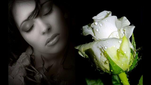 АЛЕКСАНДР ШАПИРО   -   БЕЛЫЕ ЦВЕТЫ...