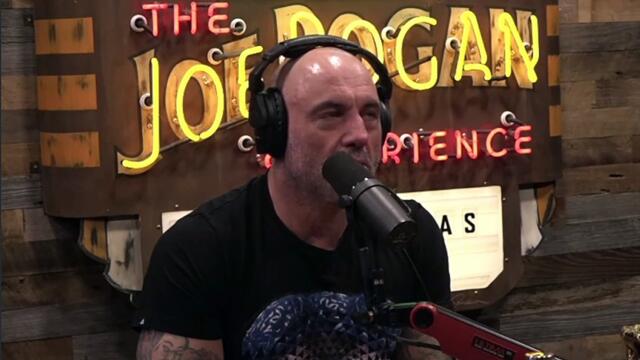 #1869 - Dr. Gabor Maté - The Joe Rogan Experience Podcast