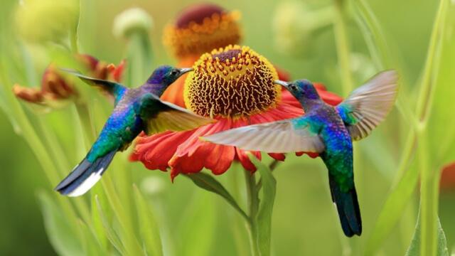 Такая теплая и нежная мелодия ДЛЯ ДУШИ... немного грустная, но очень красивая и трогательная!