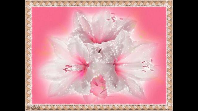 Евгений Коновалов   - Лилия