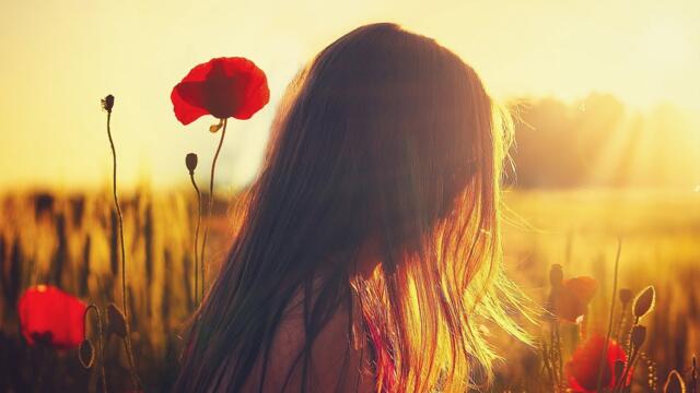 Красивая музыка завораживает душу. Сборник ЛУЧШИХ Мелодий от которых мурашки по телу!