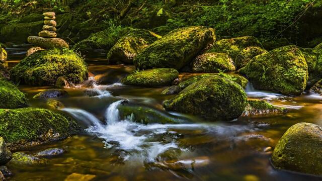 Какая красивая Необыкновенная Чарующая мелодия для души! Потрясающая нежная...