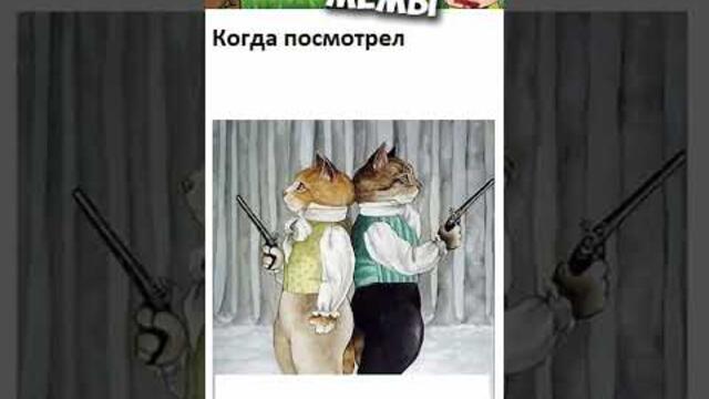Мемы и Приколы с Животными #коты #кошки #собаки #животные