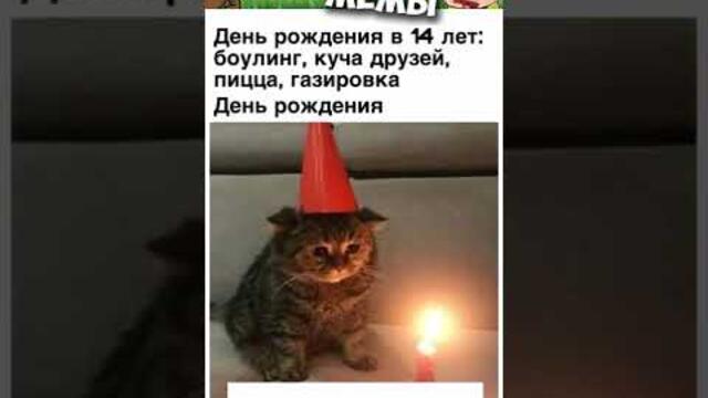 #приколы #мемы #мем #мемы2022 #юмор #коты #кошки #котики