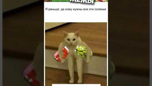 Мемы 2022 #мемы #мем #коты #котики #приколы #кошки #кот #котик