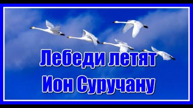 Ион Суручану  -  "Лебеди летят "