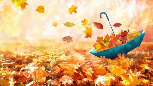 «СВЕТЛАЯ ПЕЧАЛЬ ОСЕНИ» Очень красивое видео BEST Relaxing Music