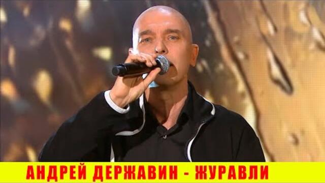 Андрей Державин - Журавли