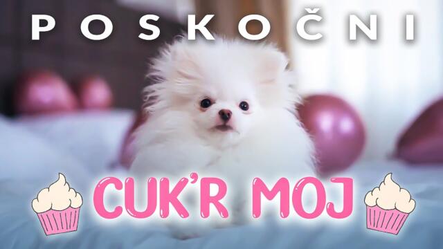 Poskočni - 2022 - Cuk'r moj (Official Video)