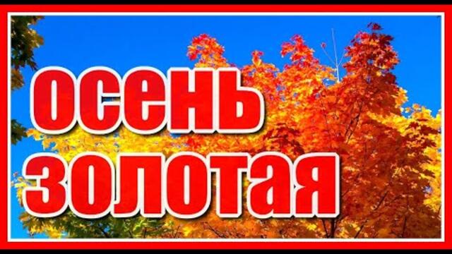 "И никуда от осени не деться, её лишь можно осветить теплом..." Музыка для души. Сергей Грищук.